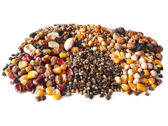 Partikel Mixen Droog