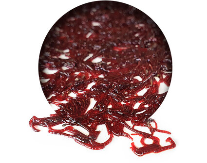 Bloodworm Vers *6