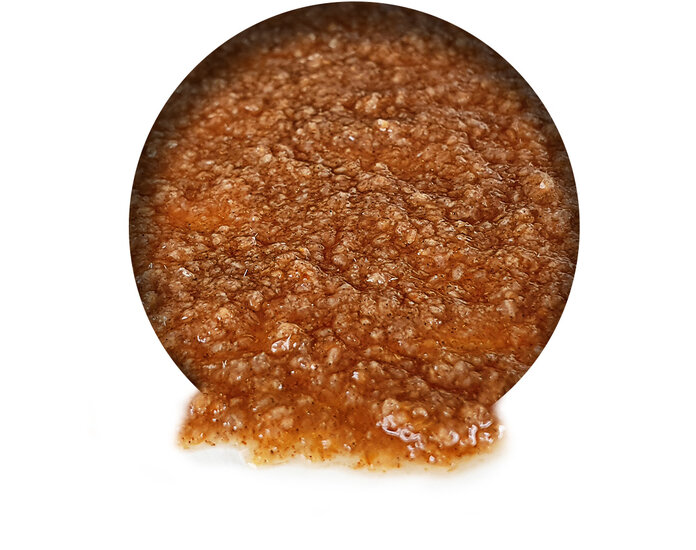 Watervlooien Vers *6