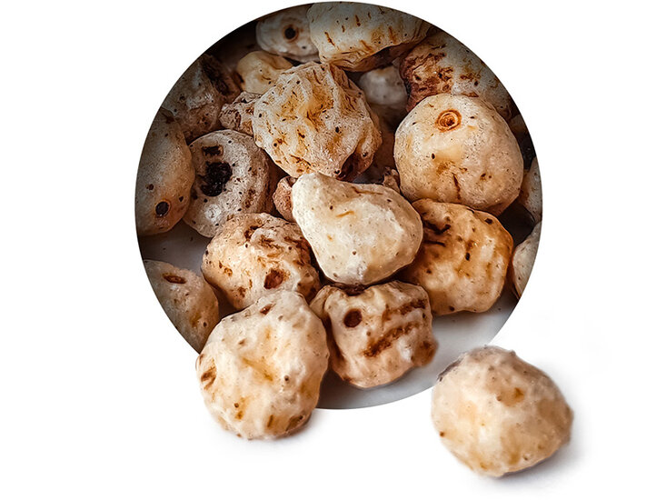 Witte Tijgernoten 12-15mm 6* 2,5KG