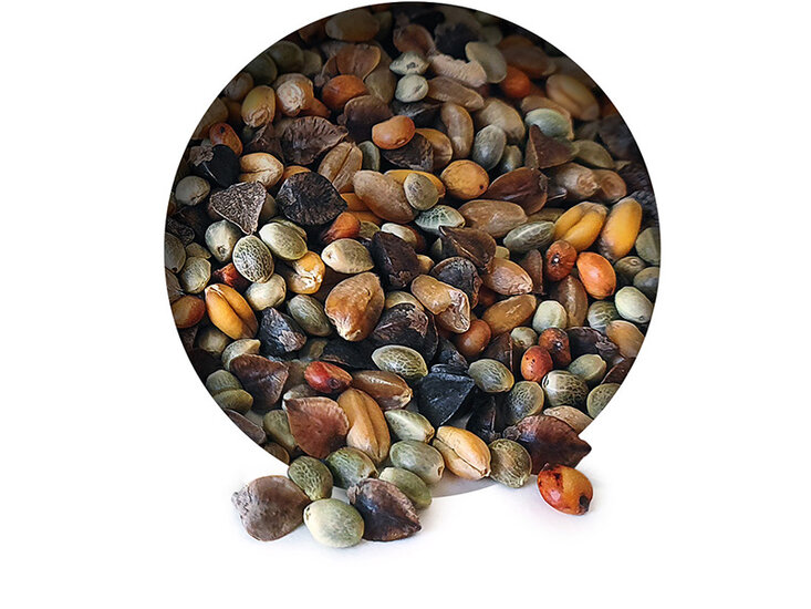 Golden Partikel Mix 6* 2,5KG