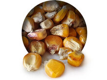 Gele Ma&iuml;s 6* 2,5KG