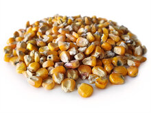 Gele Ma&iuml;s 6* 2,5KG