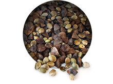 Hennep Boekweit Partikel Mix 6* 2,5KG